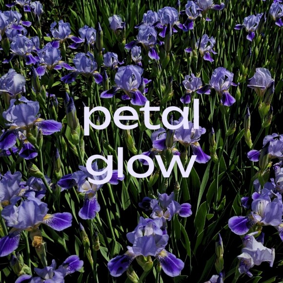 petal_glow